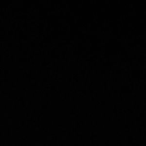 Meet your Posher, Beyonce